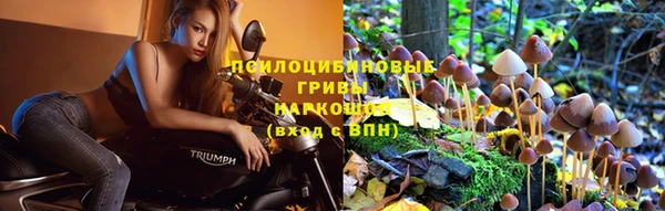 метадон Богородск