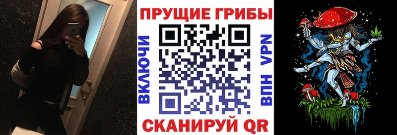 Псилоцибиновые грибы мицелий Малмыж
