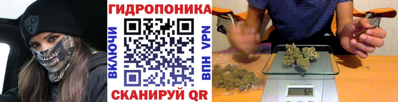 Бошки Шишки White Widow  Малмыж 
